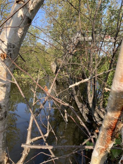 État initial du barrage