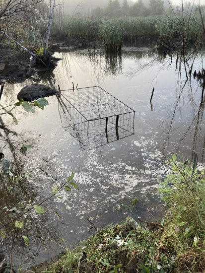 Installation de la cage 